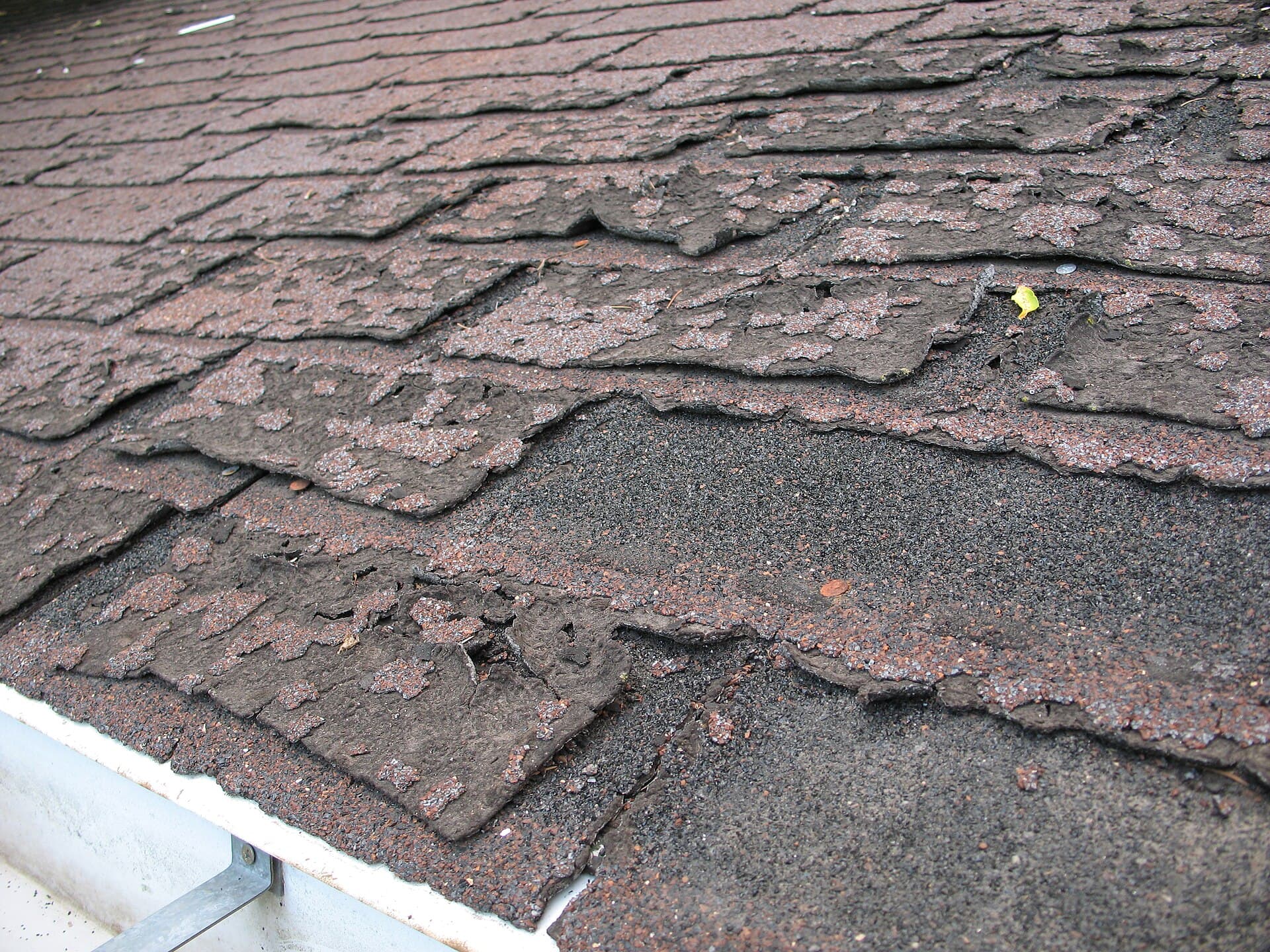 Worn asphalt shingles at the eave, the coating washed down to the mat